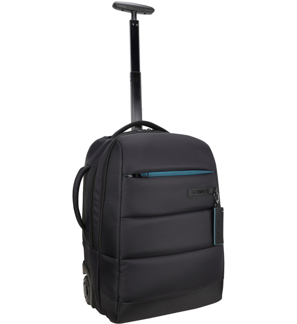 C-Plus Luggage